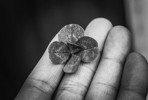 lịch sử giao dịch 188Bet